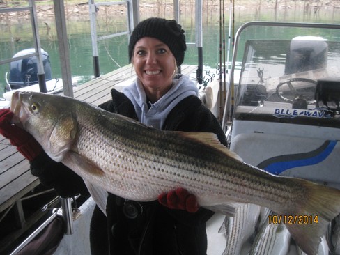 Nice Striped Bass